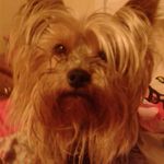 Rylee Jade Pruitt - @ryleejadep - Instagram