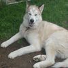Jade Roy - @jaderoy15 - TikTok