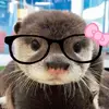 ShinnyJade - @shinnyjade - TikTok