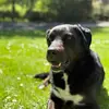 Jade Simpson - @jade.simpsonn - TikTok