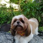 Pietro Neves - @jad_esnow - Instagram