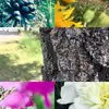 jadestoll - @jade.stoll.awesome - TikTok