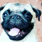 Jade_Stratton_Ross - @jade_sross_ - Instagram