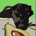 Jade Stump - @jade.the.dog.14 - Instagram