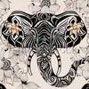 jadeswanson667 - @jadeswanson667 - TikTok