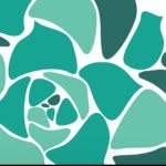 Teal Jade Living - @tealjadeliving - Instagram