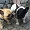 Jade_Thelen - @jade_thelen - TikTok