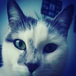 #maolechat - @jadethibaulttristan - Instagram