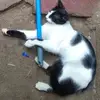 jade - @jadetinoco157 - TikTok
