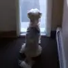 Jaden Trujillo - @jaden.trujillo6 - TikTok