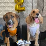 ☆Jade&Tyson☆ - @jadyson.0501 - Instagram