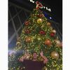 Jade Valencia - @2146238059 - TikTok