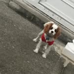Jade Warner - @jade.warner.1238 - Instagram