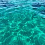 Jade Watt - @catalpacharters - Instagram