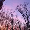 Jade Watts675 - @jadewatts27 - TikTok