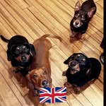 Jade Way - @jadeyway_1978 - Instagram
