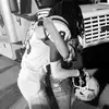 jade.whitneyyy - @jade.whitneyyy - TikTok