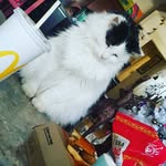 jade - @_jade._.wilkerson_ - Instagram