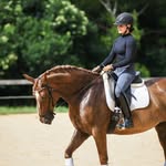 Jade Wilkinson - @wilkinsondressage - Instagram