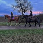 Jade Wilkinson - Facebook