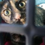 Jade Wilmot - @kayleywilmot - Instagram