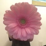 •Jade•Wilmot• - @_jademarie8 - Instagram