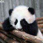 Jade Xia - @jade_xiaq - Instagram