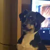 Phat - @jaden.yoder123 - TikTok