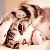 Jade.zhang - @123jade.y.zhang - TikTok