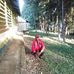Jayden Amos - Facebook