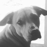 jaden baird - @baird.jaden - Instagram