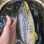 Jaden Ball - @ball5181 - Instagram