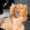 Jaden Barber - @jadenbarber2007 - TikTok