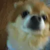 jadenbarber100 - @jadenbarber1000 - TikTok