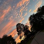 Jadyn Barber - Facebook