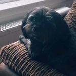Jaden Barlow - @jadenbarlow8 - Instagram