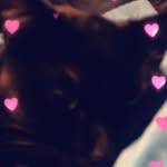 Jaden Barnes - @dacatnamedbella - Instagram