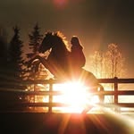Jaden Barr - @canadianrider - Instagram