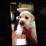Jaden Bartlett - @jaden._.bartlett - Instagram