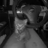 jaden_b - @jadenbeasley29 - TikTok