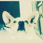 Jaden Beasley - @fbi_jaden_07 - Instagram