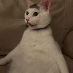 Jaden Berry - @jadendb88 - Instagram