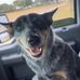 Jaden Bowen - Facebook