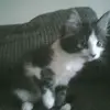 jadenboyd995 - @jadenboyd995 - TikTok