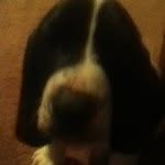 Jaden Brewer - @jaden_brewer_05 - Instagram