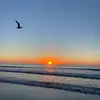 JadenBrock - @jadenelainebrock - TikTok