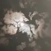 jadenbuckman - @jadenbuckman - TikTok
