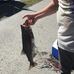 Jaiden Burdick - Facebook