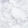 jadencarr01 - @jadencarr01 - TikTok