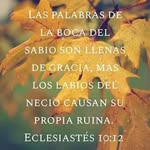 Jaden Adonay López Carrillo - @carrillolopezana10 - Instagram